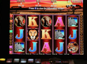 彩神VIl彩票免费版